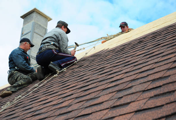 Best Roof Gutter Cleaning  in Barnhart, MO